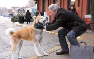 Giải mã sợi dây tình cảm giữa người và chó